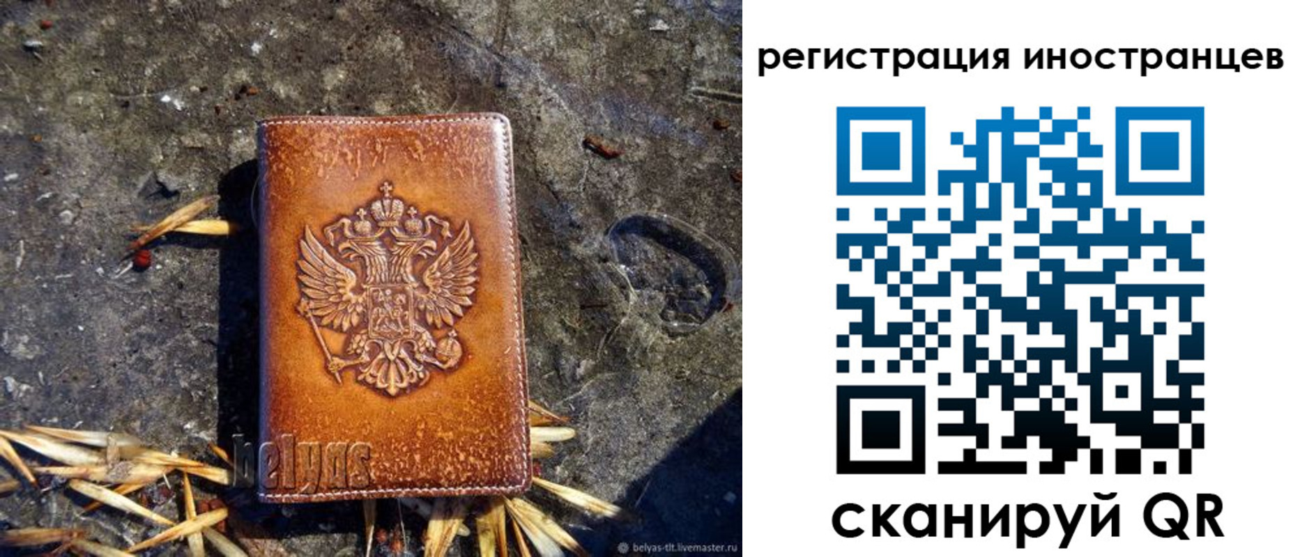 прописка регистрация в Палласовке